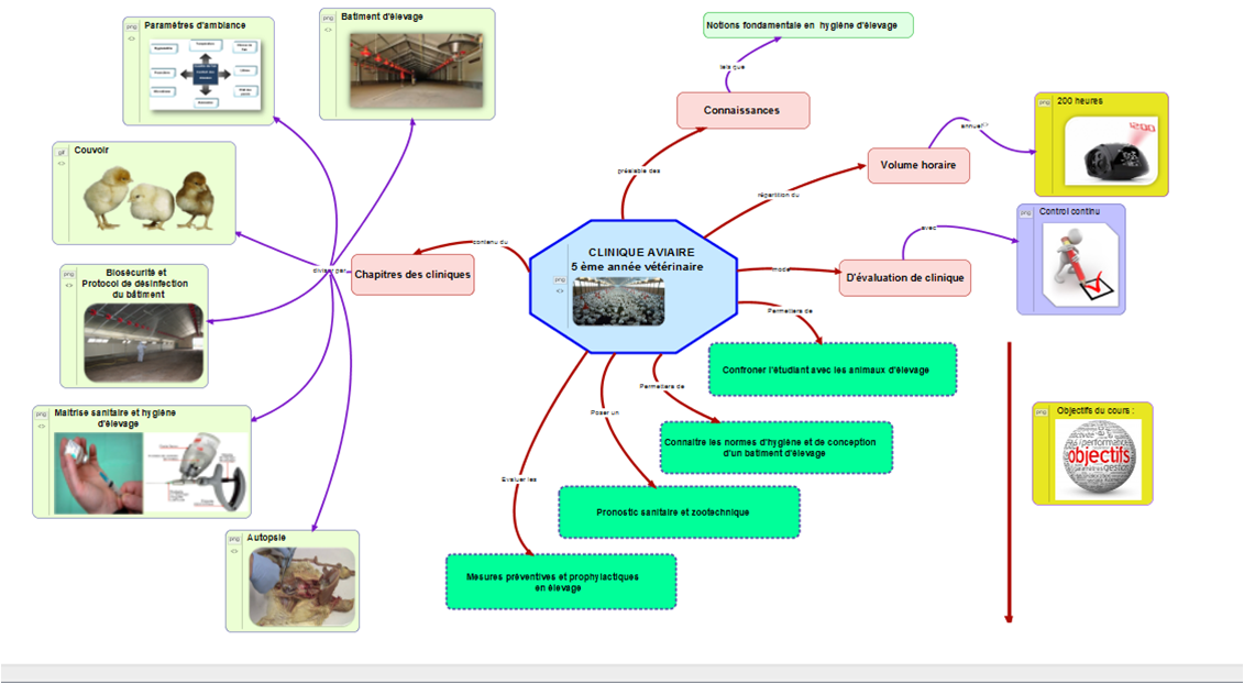 Carte_conceptuelle_cours clinique aviaire