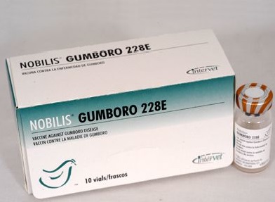 vaccin3
